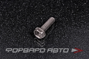 Болт М6*1,0*21 крепления поддона АКПП VAG WHT000307