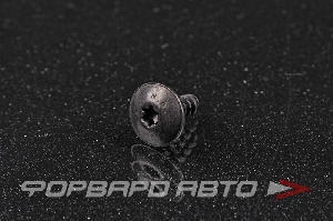 Саморез 5*16 с головкой TORX T25 VAG N 909 747 01