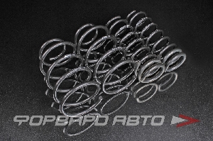 Пружины Ford Focus PRO-KIT 1.6, 2.0, 1.6D 03.2011- (-25 мм) EIBACH E10-35-023-01-22