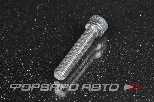 Болт хомута фланца Wastegate TIAL CLAMP BOLT