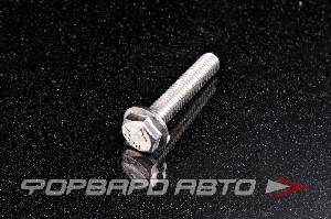 Болт М8*1,25*40 ДИН 6921 А2 нерж. шестигр. гол. с фланцем <> 