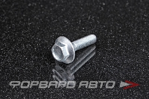 Болт М6*1,0*25 с зубчатым буртиком (класс прочности 8,8) БелЗАН 00001-0038375-718