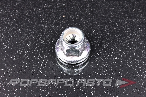 Гайка NISSAN 01223-00231-KT