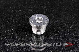 Купить Пробка сливная 14*1,5 масляного поддона VAG N 911 679 01 Пробка сливная 14*1,5 масляного поддона VAG N 911 679 01