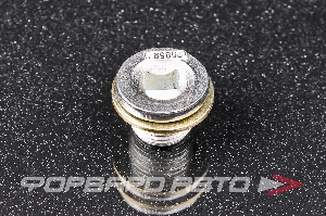 Пробка сливная 16*1,5 масляного поддона (+шайба) CX 220100s