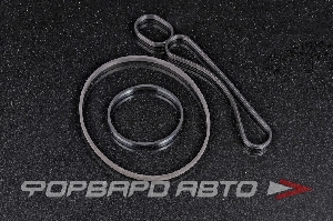 Комплект уплотнений для масляного радиатора VAG 07Z 198 389