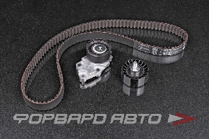 Комплект ремня ГРМ INA 530 0332 10