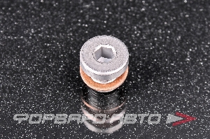 Пробка сливная 10*1,0 раздаточной коробки VAG N90 281 802