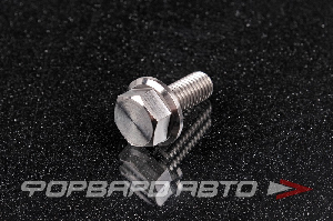 Болт М8*1,25*20 титановый с фланцем FORA TITANIUM DIN6921-8*1.25*20Ti