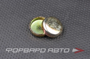 Заглушка блока двигателя WPM-34мм  