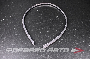 Уплотнитель стекла лобового нижний RENAULT 6001547001