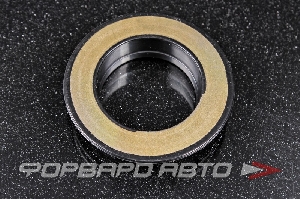 Сальник 28,6*48,5*3,1/10,8 свечного колодца STONE JH-18105-1