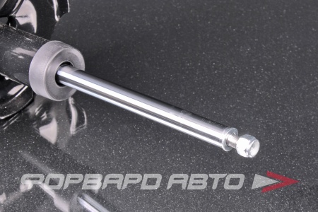 Купить Амортизатор передний, левый MILES DG21676