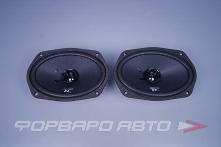 Купить Автоакустика (6x9", 110/220Вт., Эстрадный широкополосник ) EDGE EDB69W-E0