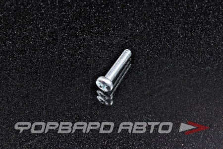 Купить Винт 5*25 (полусфера) оцинк.  515К-М5-25