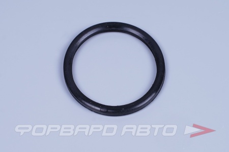 Купить Прокладка термостата (48мм) LADA Largus, Renault Logan ROSTECO 20746