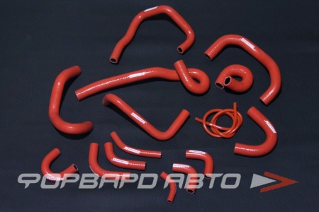 Купить Патрубки всей системы охлаждения силиконовые Nissan Skyline GT-R R33-34 красные (15 штук) AUTOBAHN88 