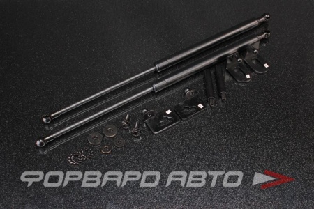 Купить Амортизаторы капота HONDA CIVIC 3/4D 1992-1995 EG EH AUTOBAHN88 