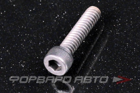 Купить Винт цилиндр. с внутренним шестигранником 3/16-24*7/8"(22мм) (FT) BSF (DIN912) 12.9  813106