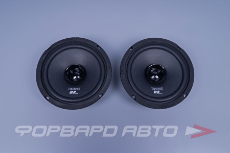 Купить Автоакустика (16,5см., 2-полос., 100/200Вт., коаксиальная АС) EDGE EDB6W-E0