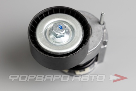 Купить Натяжитель приводного ремня (Audi, Seat, Skoda, VW) CARBERRY 55CA220