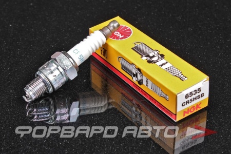 Купить Свеча зажигания NGK 6535