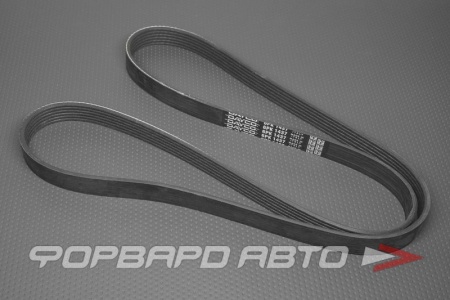 Купить Ремень поликлиновой DAYCO 6PK1437