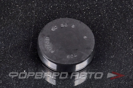 Купить Заглушка D 30 (0*30*8) TTO C071