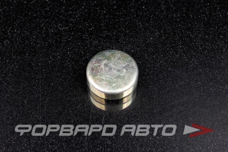 Купить Заглушка блока двигателя WPB-25мм  