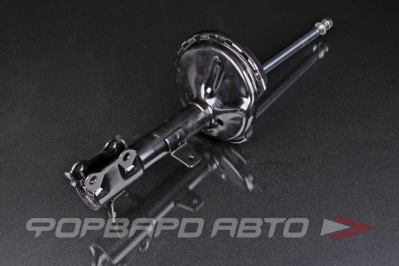 Купить Амортизатор задний, левый MILES DG11319-01