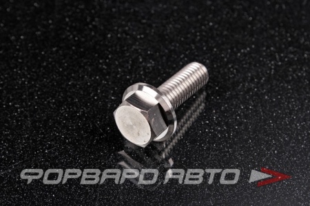 Купить Болт М8*1,25*25 титановый с фланцем FORA TITANIUM DIN6921-8*1.25*25Ti
