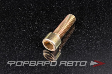 Купить Винт  М12*1,75*40 (12,9) внутренний шестигранник HGK 