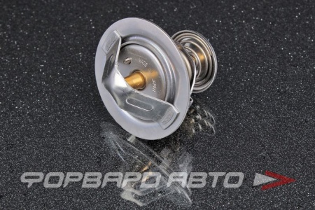 Купить Термостат TAMA WV52-88