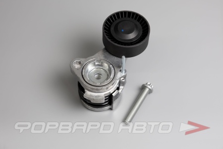 Купить Натяжитель приводного ремня CARBERRY 55CA312