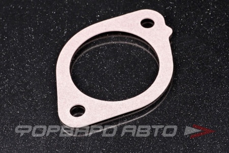 Купить Прокладка термостата TAMA P303