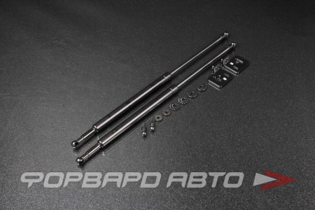 Купить Амортизаторы капота HONDA Civic 96-00 4D AUTOBAHN88 