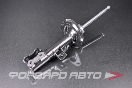 Купить Амортизатор передний, правый MILES DG21540-01