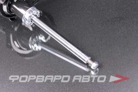 Купить Амортизатор передний, левый MILES DG11056-01