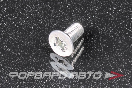 Купить Болт М6*1,0*10 тормозного диска конусный потайной HONDA 93600-060-140H