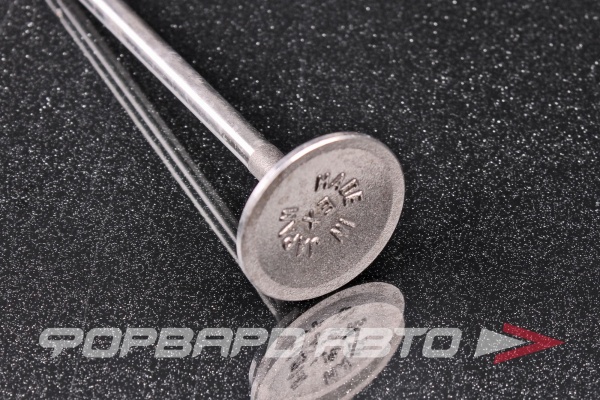 Клапан выпускной N-ROCKY FB-25-0