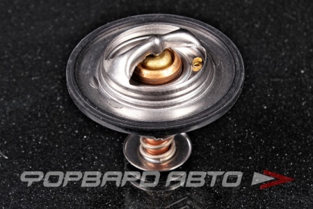 Купить Термостат FEBI 172246