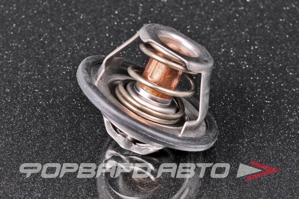 Термостат ASAM 30403