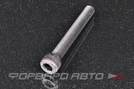 Купить Винт цилиндр. с внутренним шестигранником М8*60 DIN912 высокопр. пр.12,9  