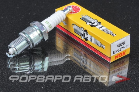 Купить Свеча зажигания NGK 4028