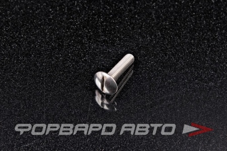 Купить Винт полукр. расшир/гл. прямой шлиц М6*25 А2 нерж.  