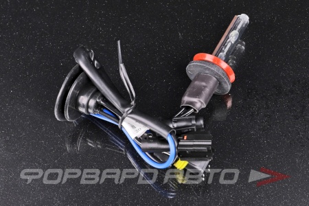Купить Лампа ксенон H8/H11 4300K EXTRA VISION +30% XENITE 1004095