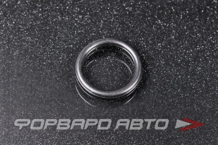 Купить Кольцо форсунки NISSAN 16618-8H800