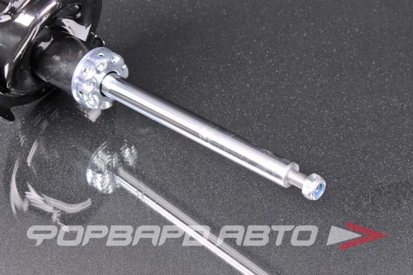 Амортизатор передний, правый MILES DG21056-01