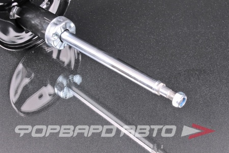 Купить Амортизатор задний, правый MILES DG21213-01