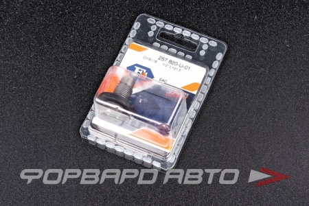 Купить Пробка сливная 1/2" масляного поддона (L-21,5мм) FA1 257.820-U-01
